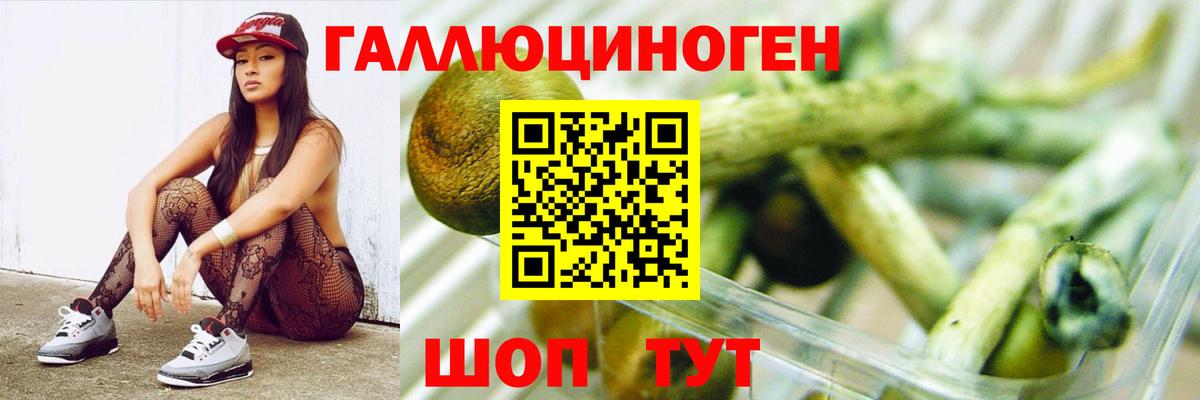 Псилоцибиновые грибы Psilocybine cubensis  Вход с VPN  Псилоцибиновые грибы GOLDEN TEACHER  как найти   Дубна 