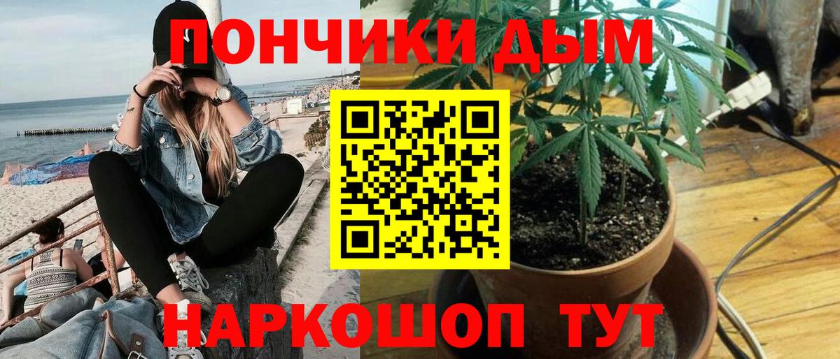 Бошки Шишки ГИДРОПОН Дубна